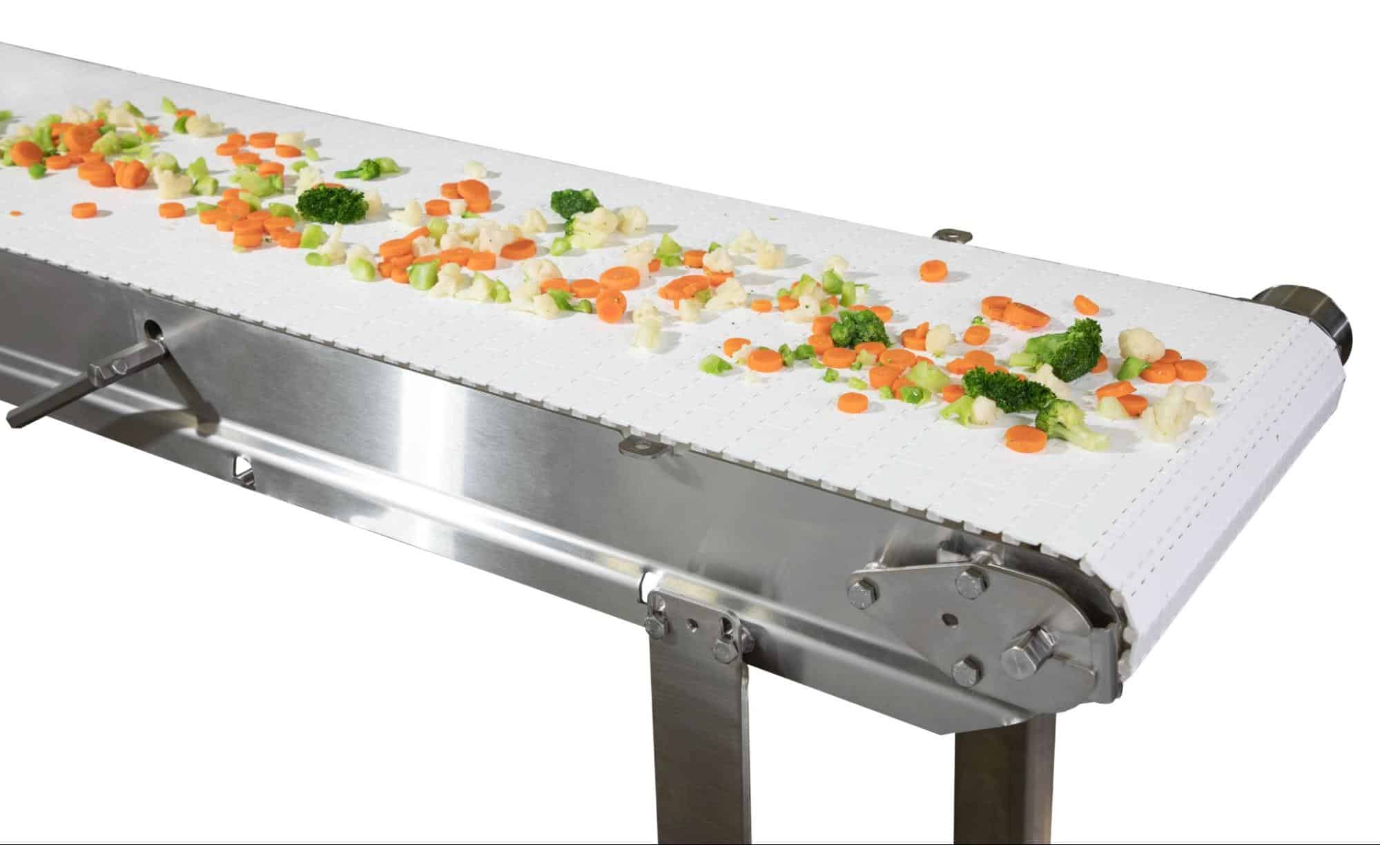 A Dorner AquaPruf conveyor transports vegetables.