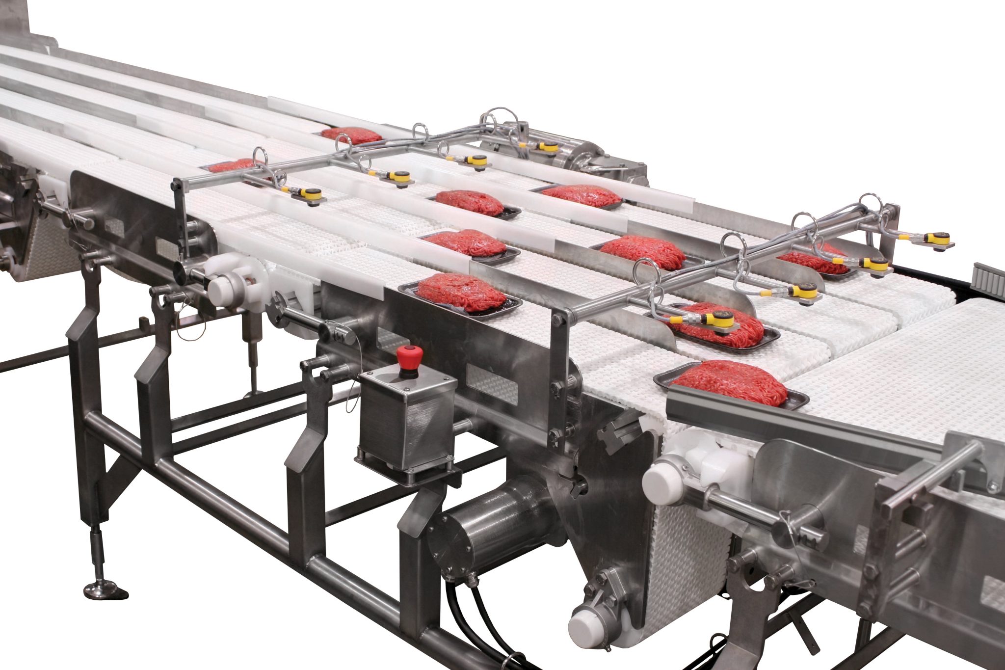Dorner Conveyors Custom Meat and Poultry Applications